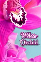 White Orchid